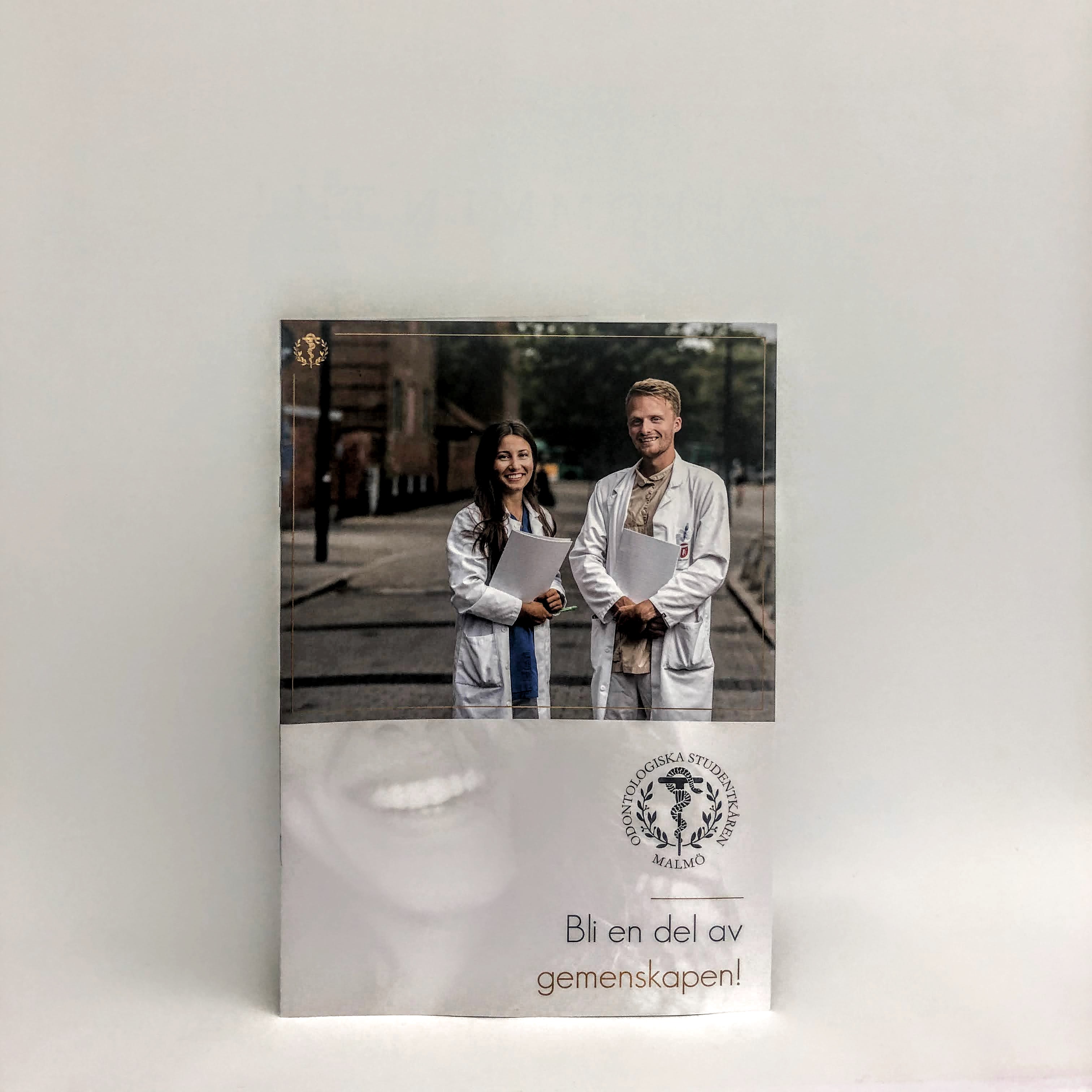BROSCHYR - GRATIS